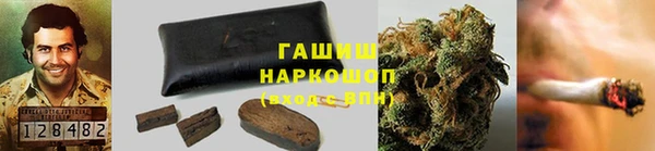 стаф Абаза