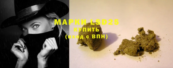 стаф Абаза