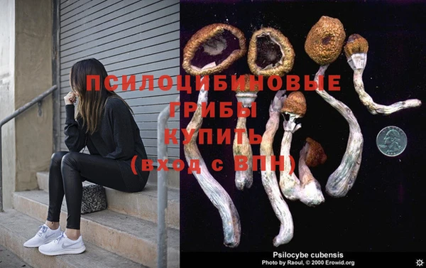 стаф Абаза