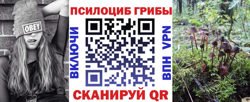 Псилоцибиновые грибы GOLDEN TEACHER  как найти закладки  Кочубеевское 