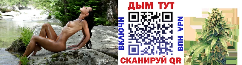 купить Кочубеевское Бошки Шишки конопля